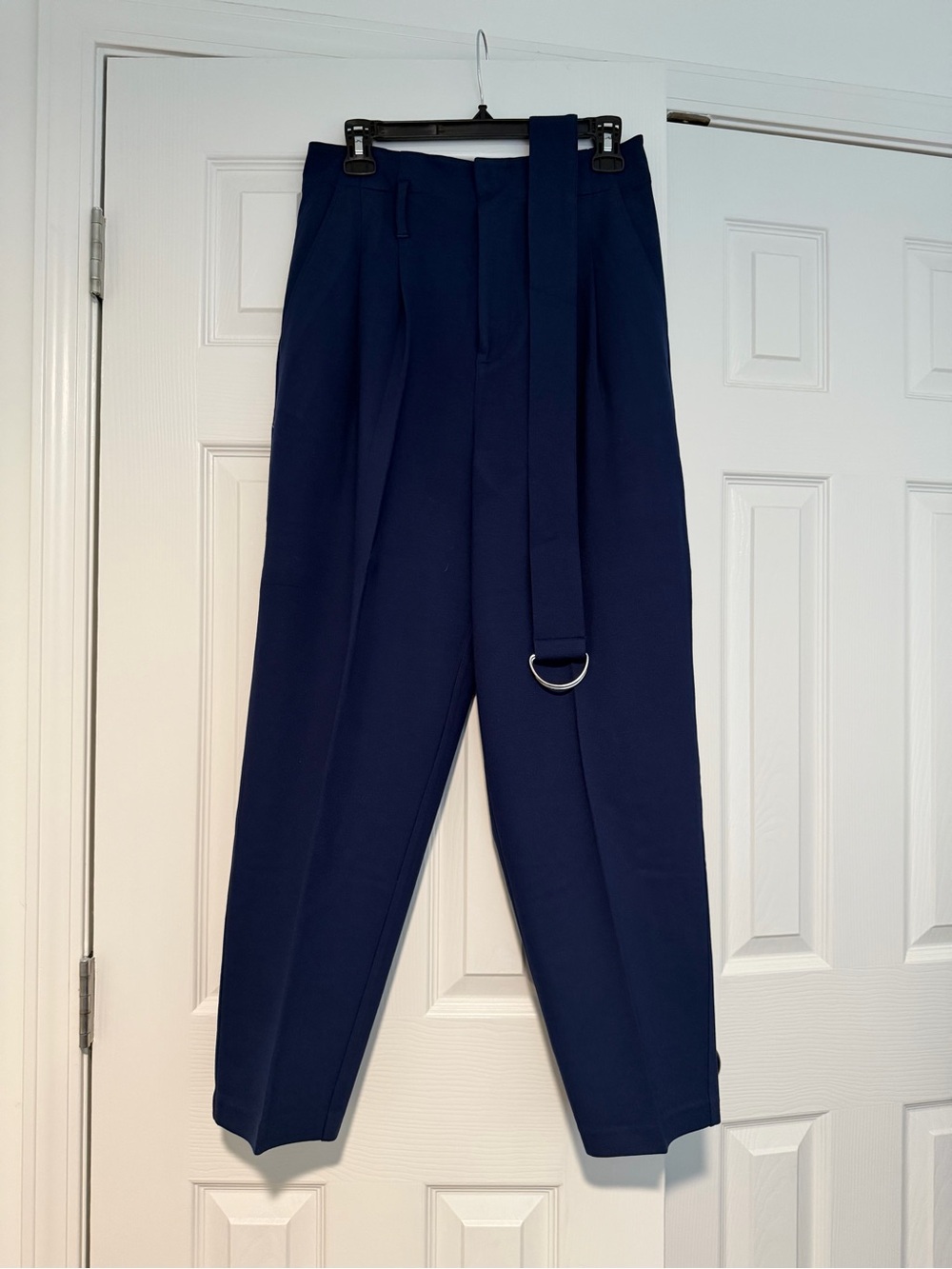 Ralph Laurn pleated Tapered Dress Pants